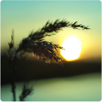 Hexagon Sun - бесплатный image #284125